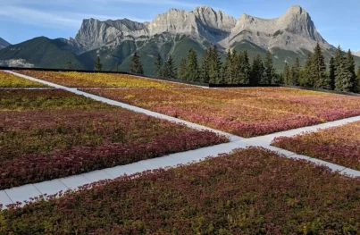Large modular green roof with mountain range in background.