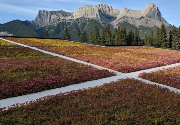 Large modular green roof with mountain range in background.