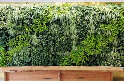 Large vertical plant wall with a natural wood bench in front.