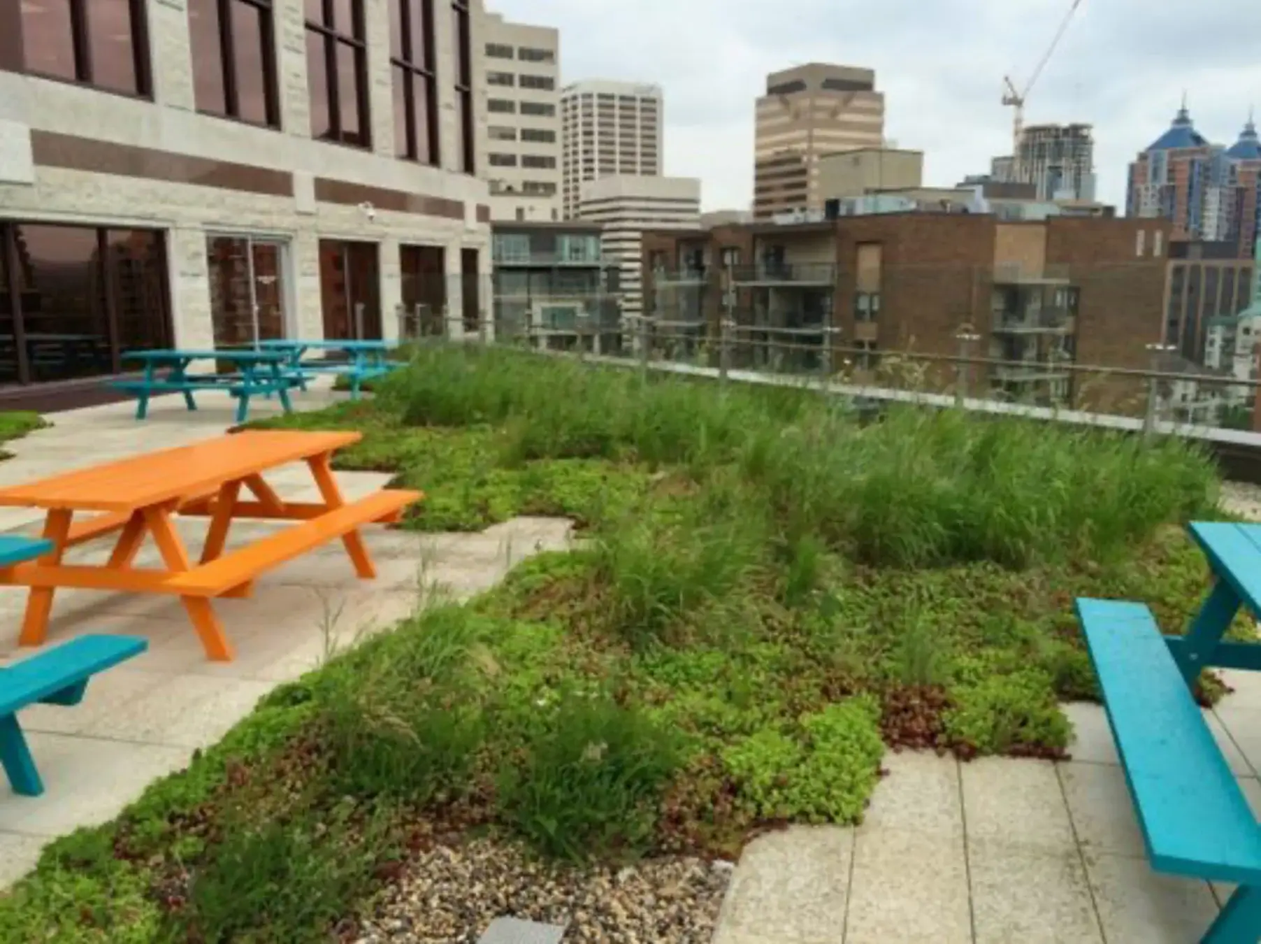 Green Roofs Edmonton