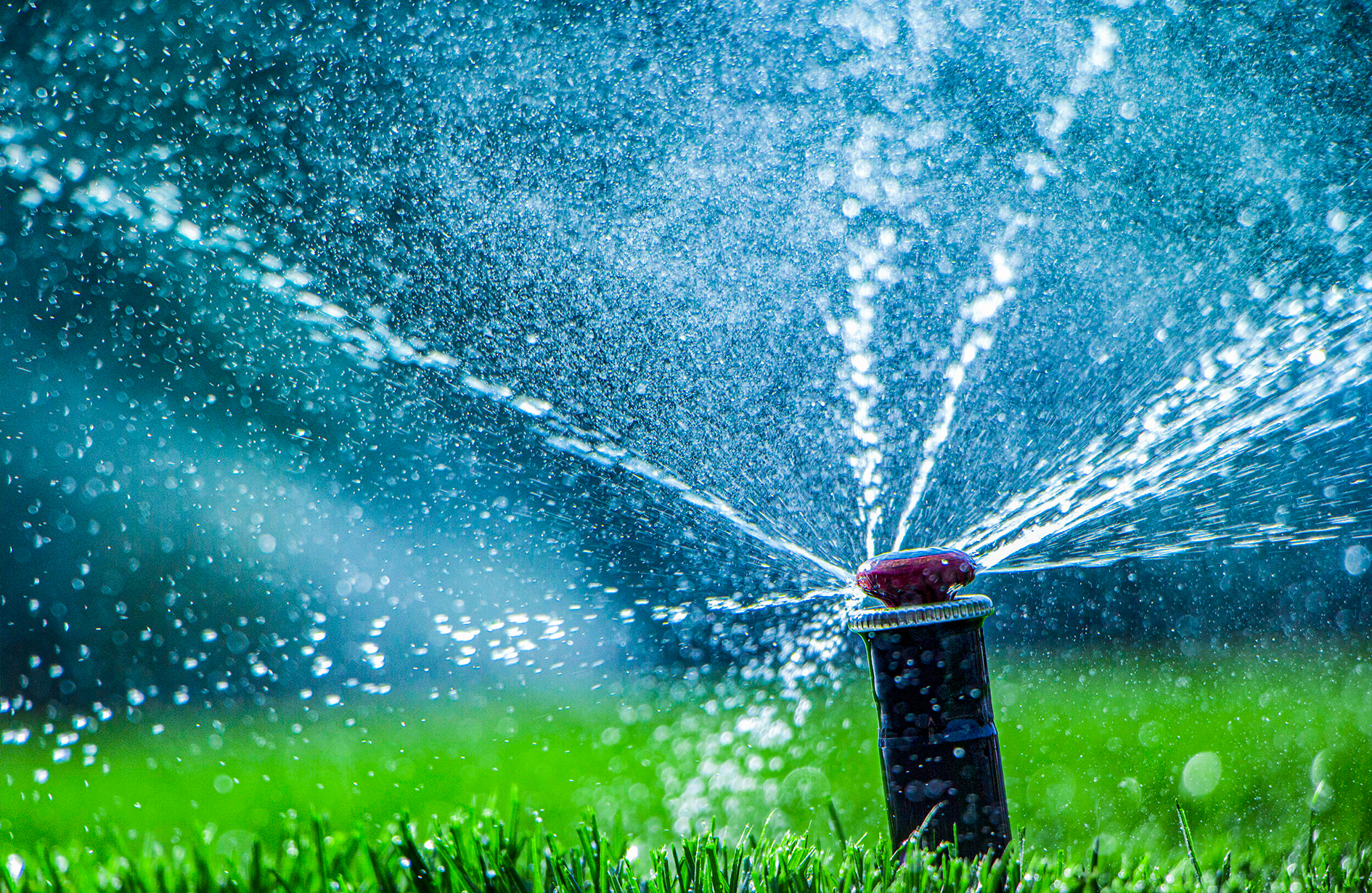 Sprinkler system spraying water over lawn during spring clean up.