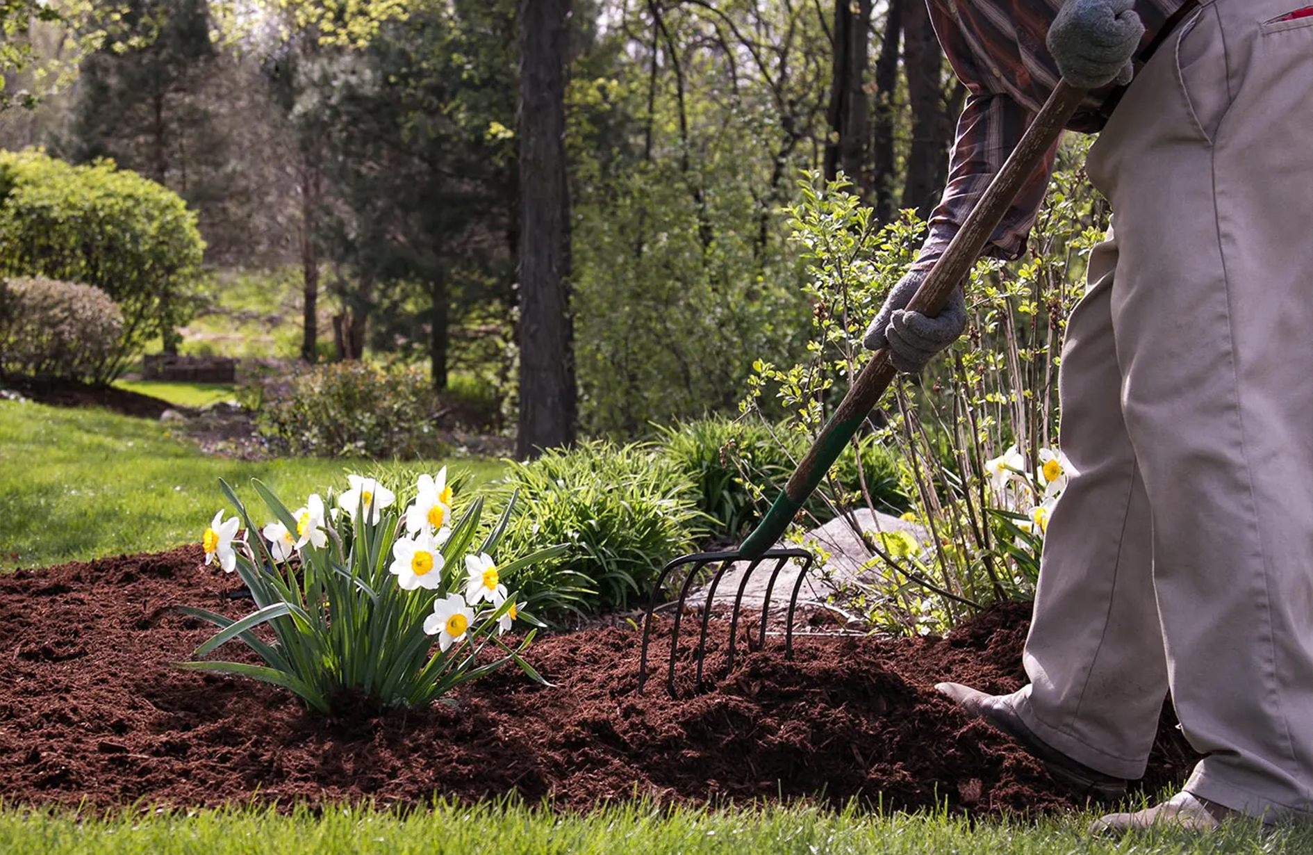 Homeowner spreading mulch around flower bed during spring clean up in garden