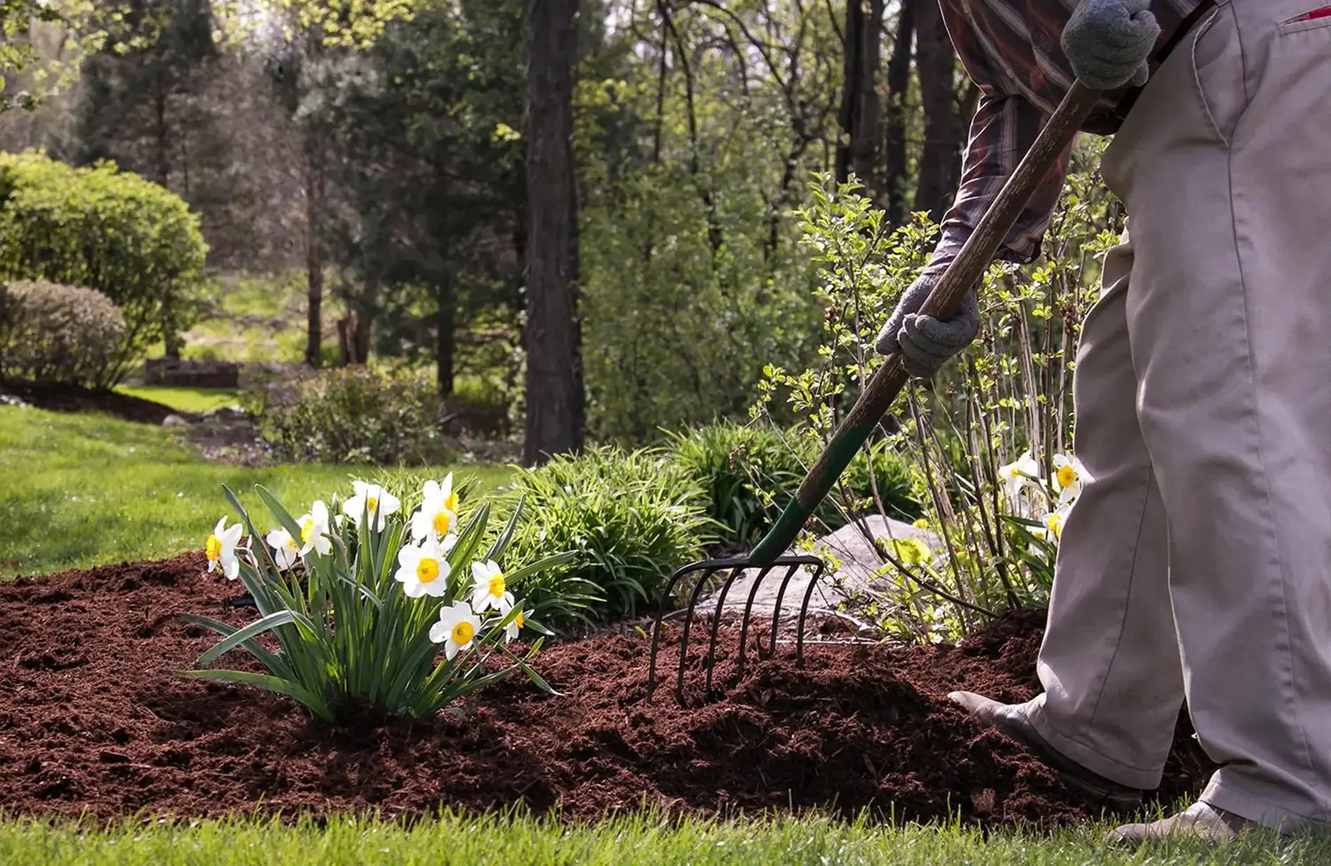 Homeowner spreading mulch around flower bed during spring clean up in garden