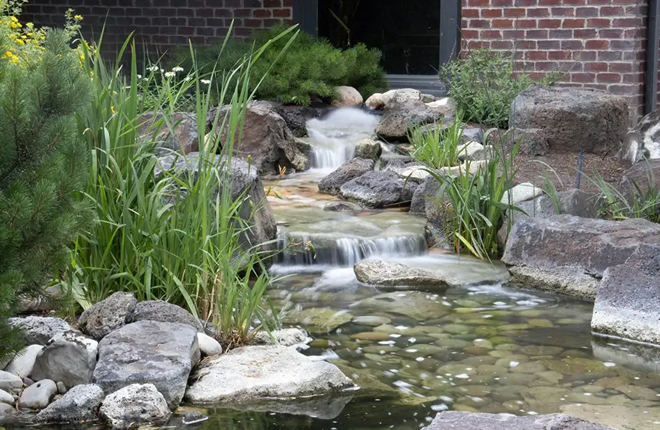 Natural backyard waterfall with flowing water, rocks, and lush greenery.
