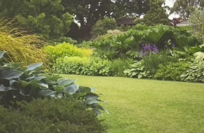 luxury landscape design Edmonton with a variety of native plants, Tree shrubs, and a well-maintained Lawn.
