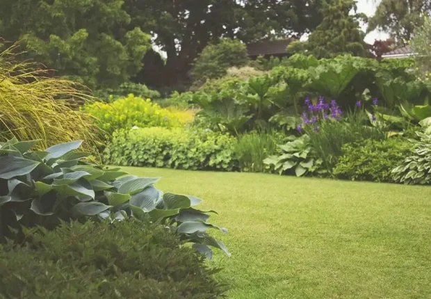 luxury landscape design Edmonton with a variety of native plants, Tree shrubs, and a well-maintained Lawn.