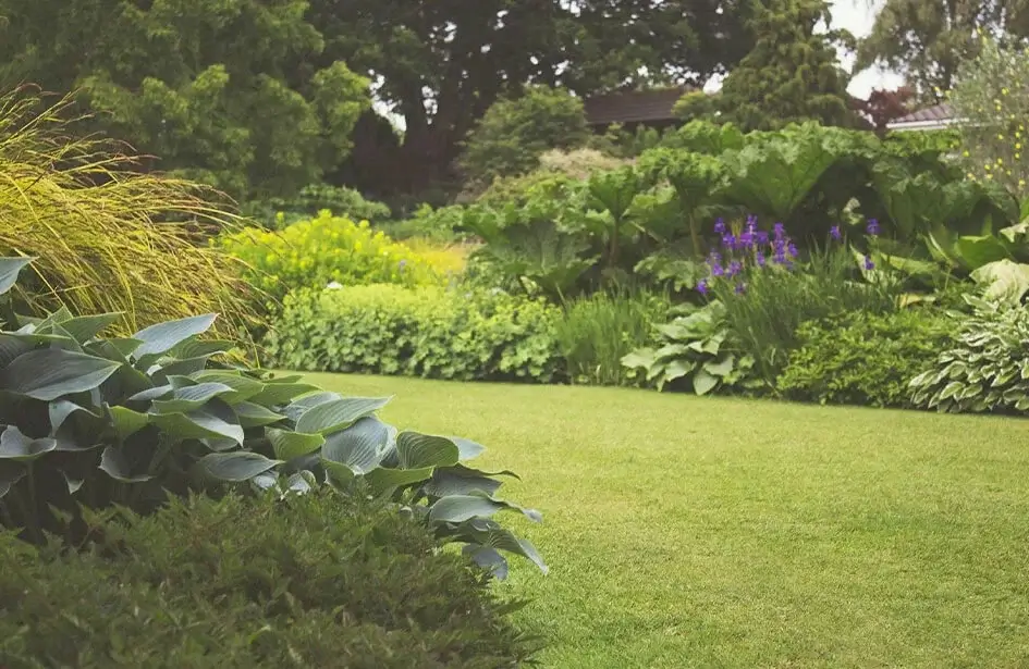 luxury landscape design Edmonton with a variety of native plants, Tree shrubs, and a well-maintained Lawn.