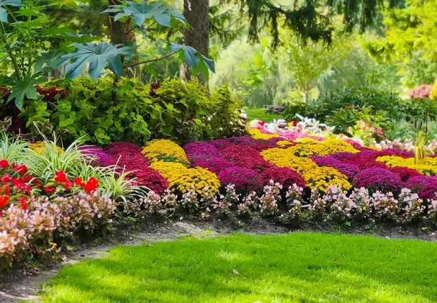 colorful seasonal flower bed