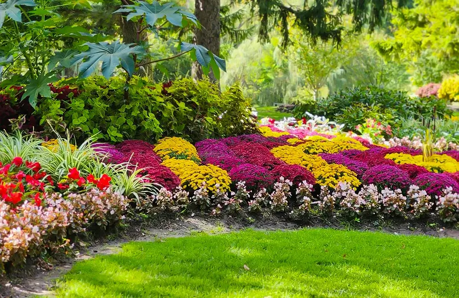 colorful seasonal flower bed