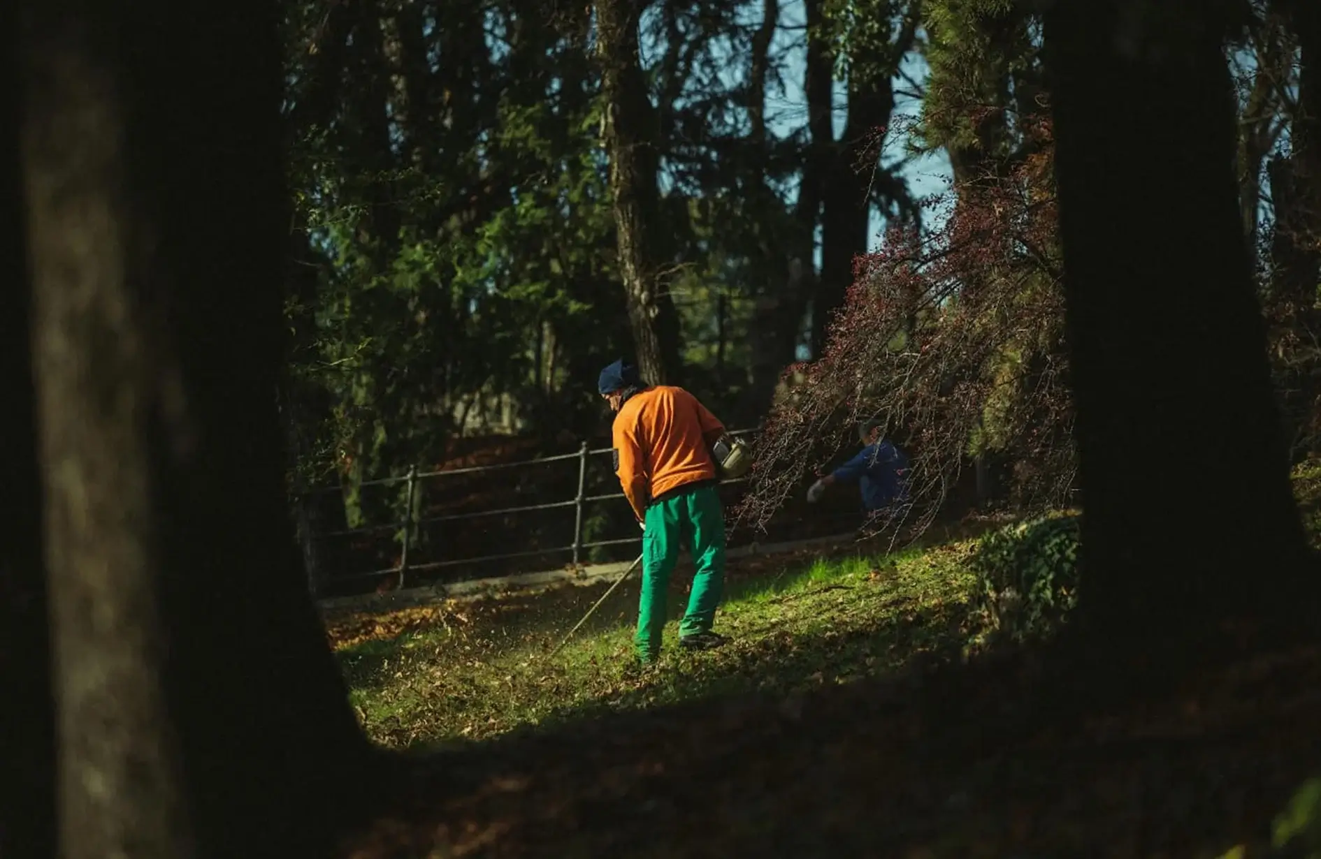 Person mowing lawn in wooded area.