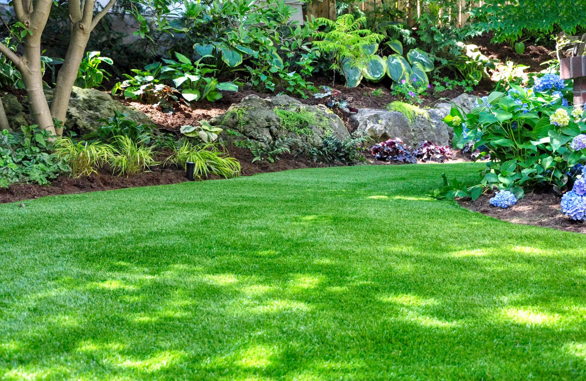 a lush green lawn, likely part of a residential garden or landscaped area