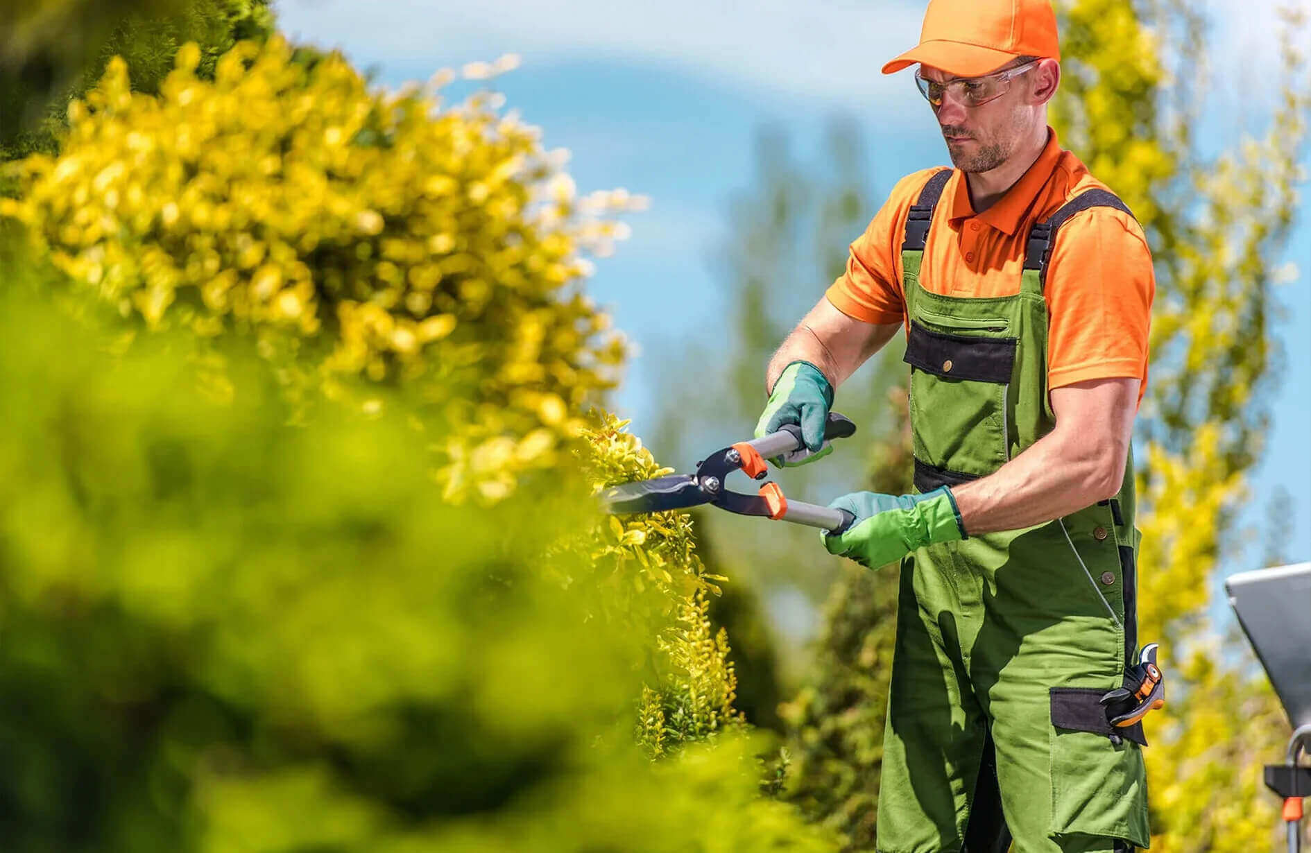 Worker from landscape design company in Edmonton trimming bushes, key landscaping service factor.