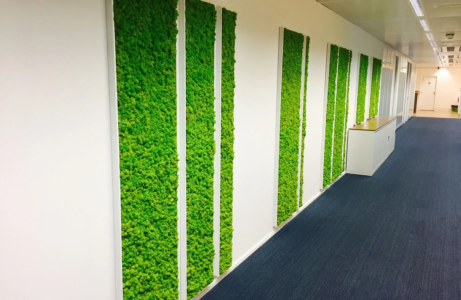 Office hallway with vertical panels showing moss wall interior benefits like noise reduction and modern green design.
