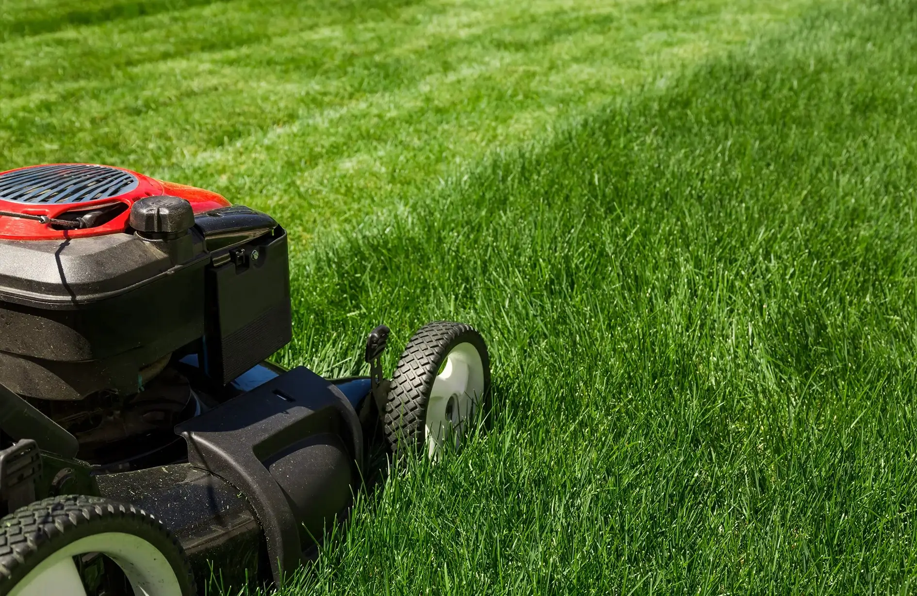 Lawn care in Edmonton featuring precise grass cutting with a mower