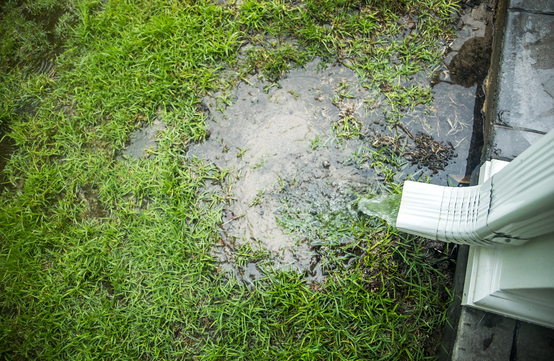Water standing on a garden causing drainage issues