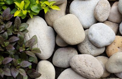Smooth river stones with garden plants