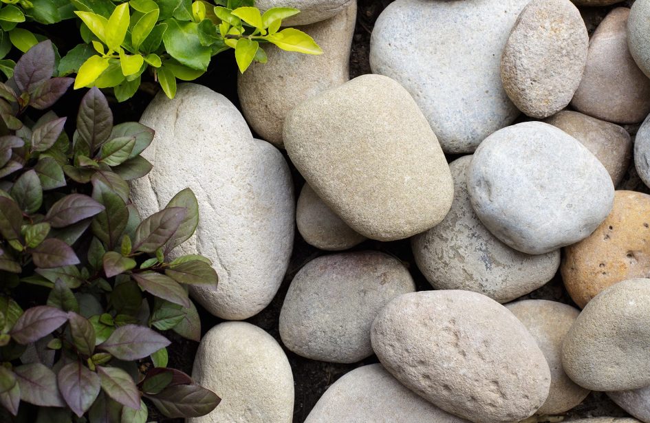 Smooth river stones with garden plants