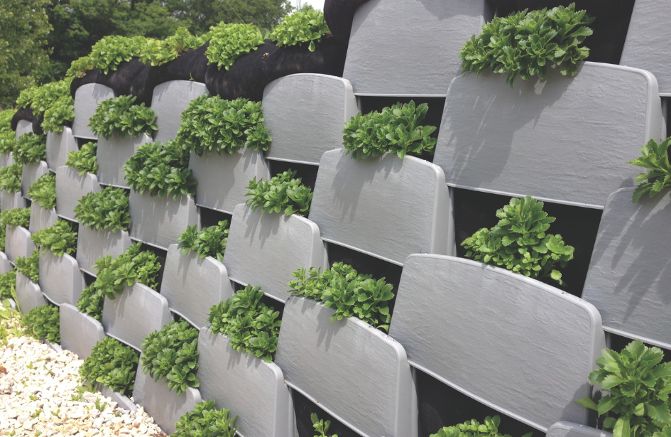 green retaining walls