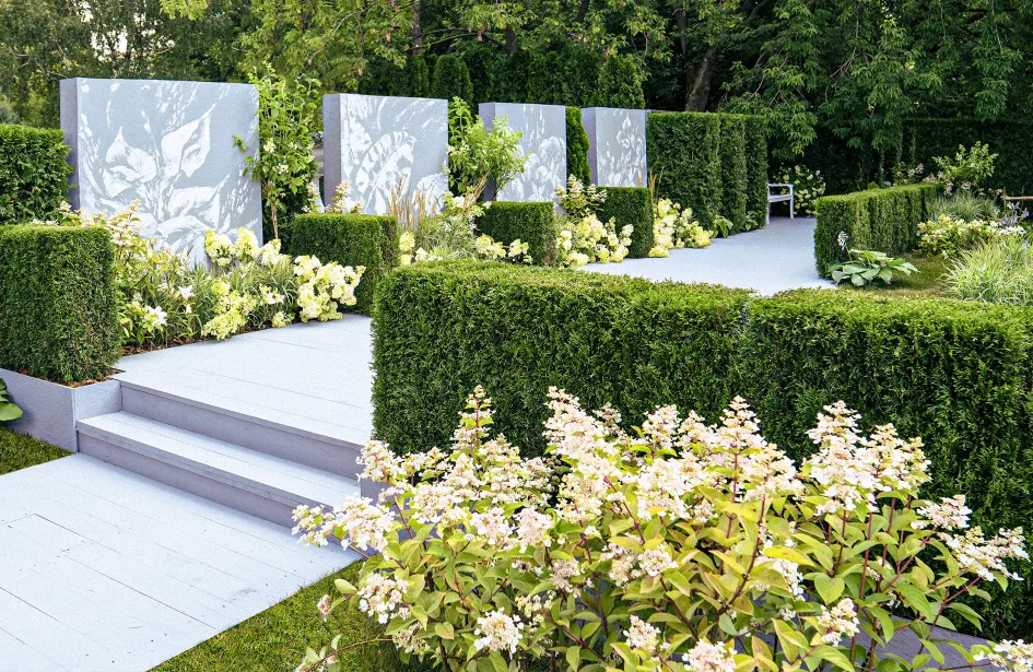 Modern commercial landscape design with trimmed hedges and stone walkway in Edmonton