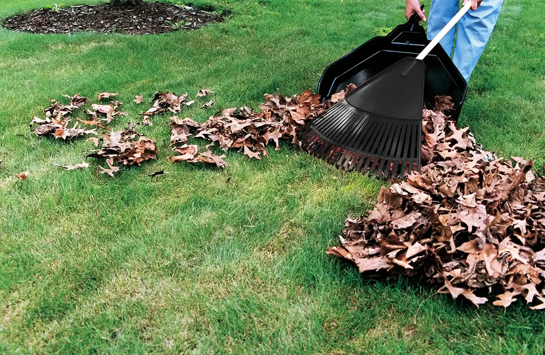 Close-up of a person using a black rake to gather brown autumn leaves into a pile on a green lawn.