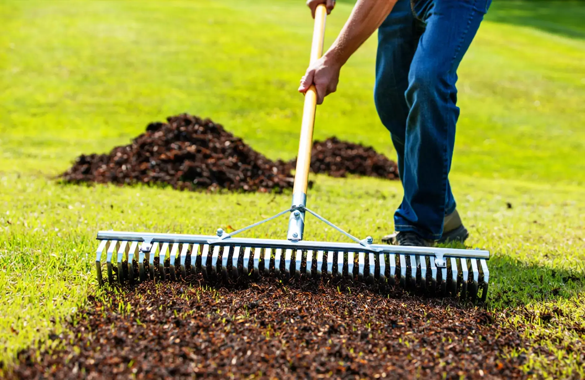 A person using a landscape rake to spread dark soil dressing over a green lawn.